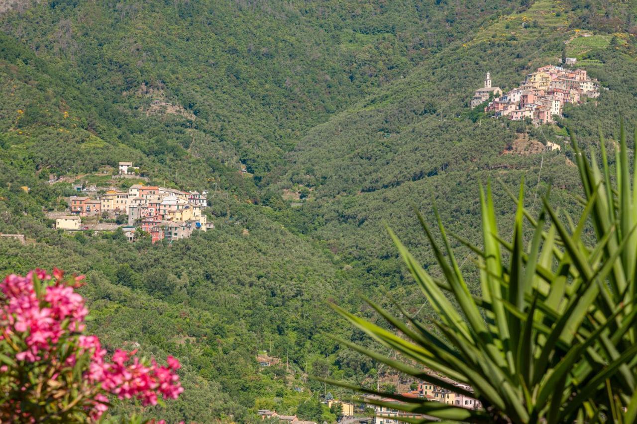Dell'erta - Levanto Apartment