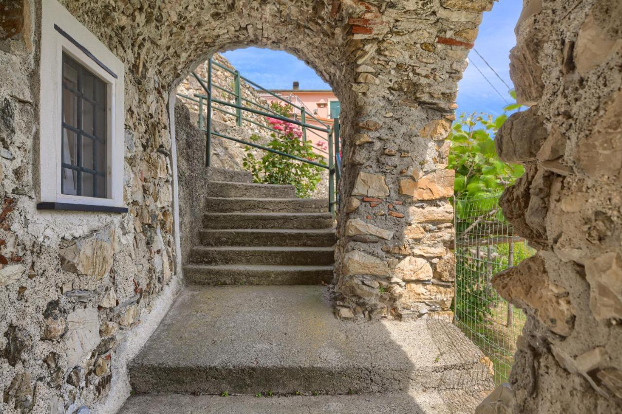 Dell'erta - Levanto *