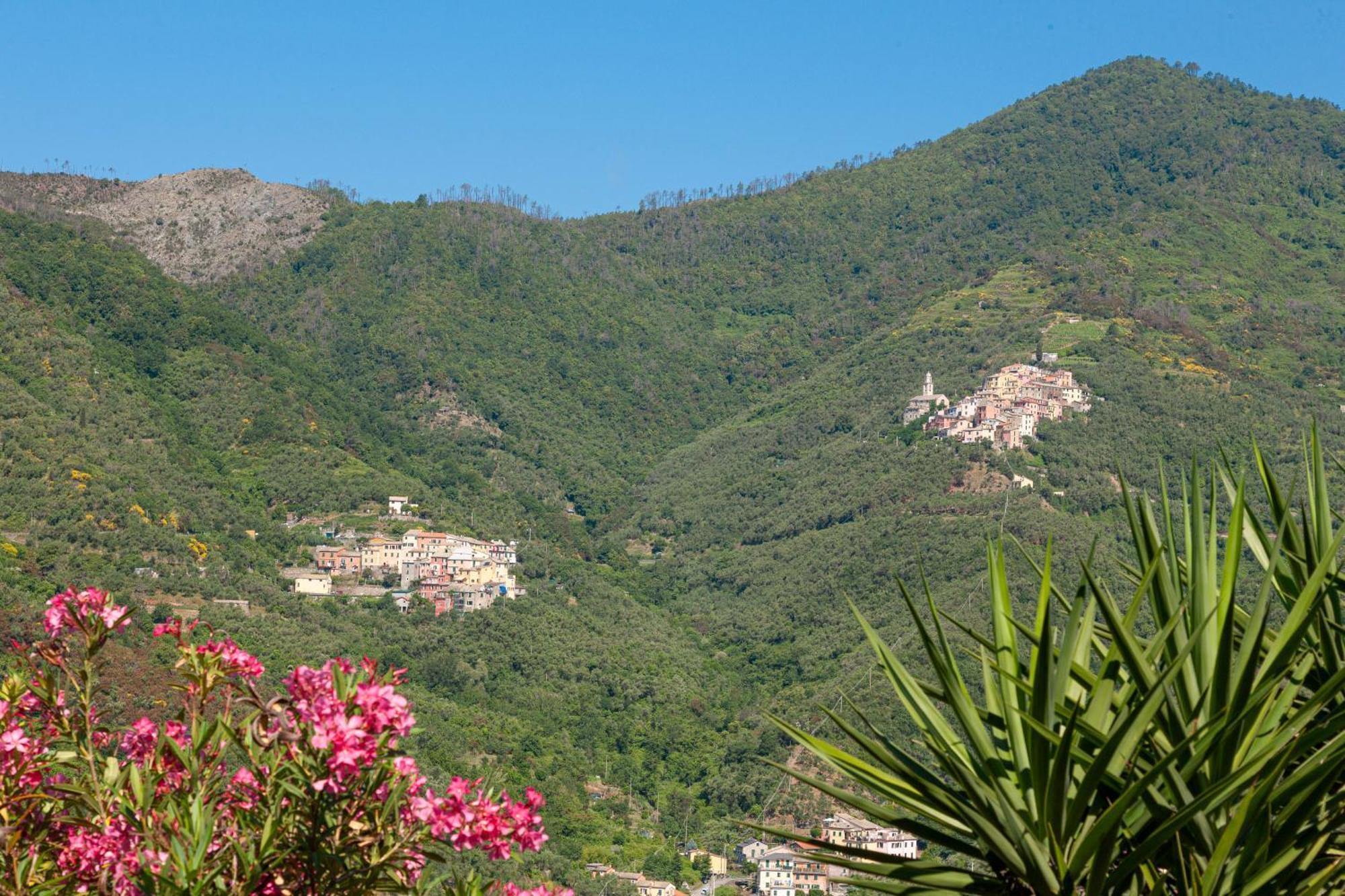 Dell'erta - Levanto *